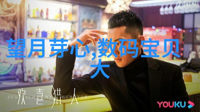 客厅的秘密一场简单大气的装修奇幻