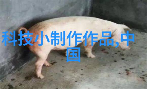 从成本效益分析角度看投资一个新型的燃气蒸发机是否划算