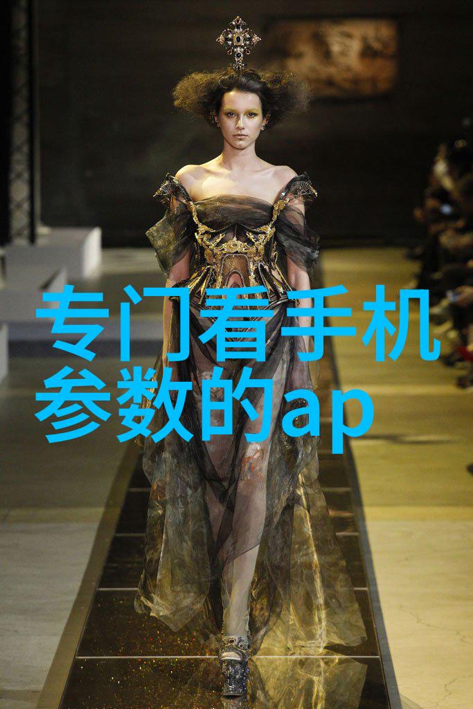 水利工程的智慧从坝顶到渔网的故事