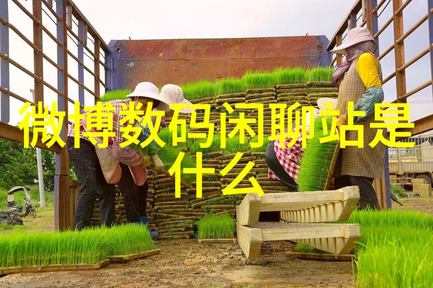 今朝装饰公司创意空间的定制师