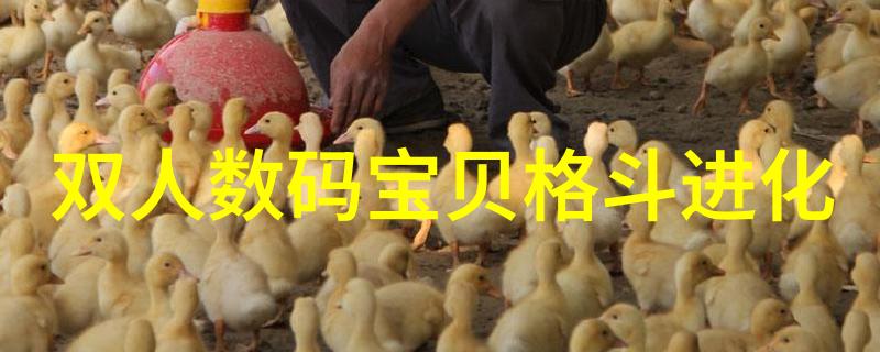 丰田汽车配件大全app-丰田爱好者必备的全方位配件查询系统
