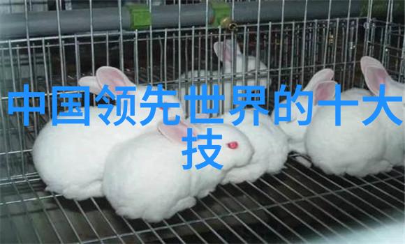 是否存在经济实惠的工地喷雾降尘设备供小型工程项目使用