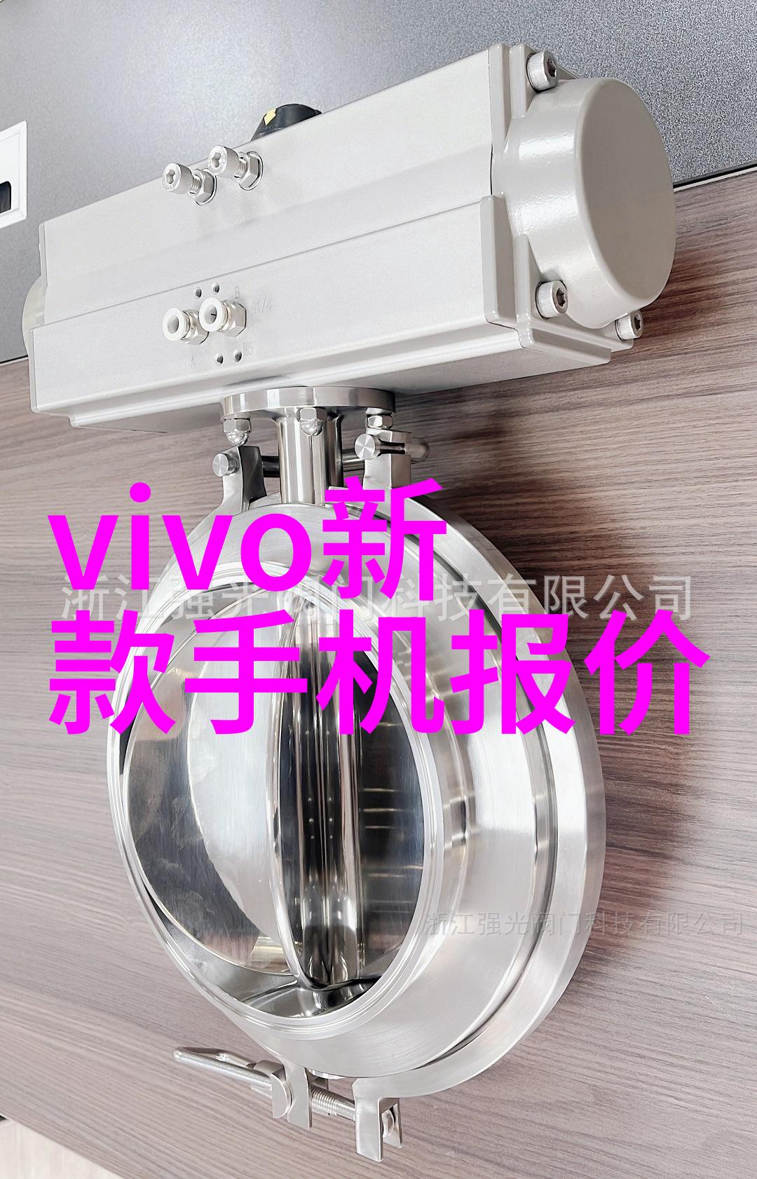 卫生泵在食品加工行业中的角色及其挑战