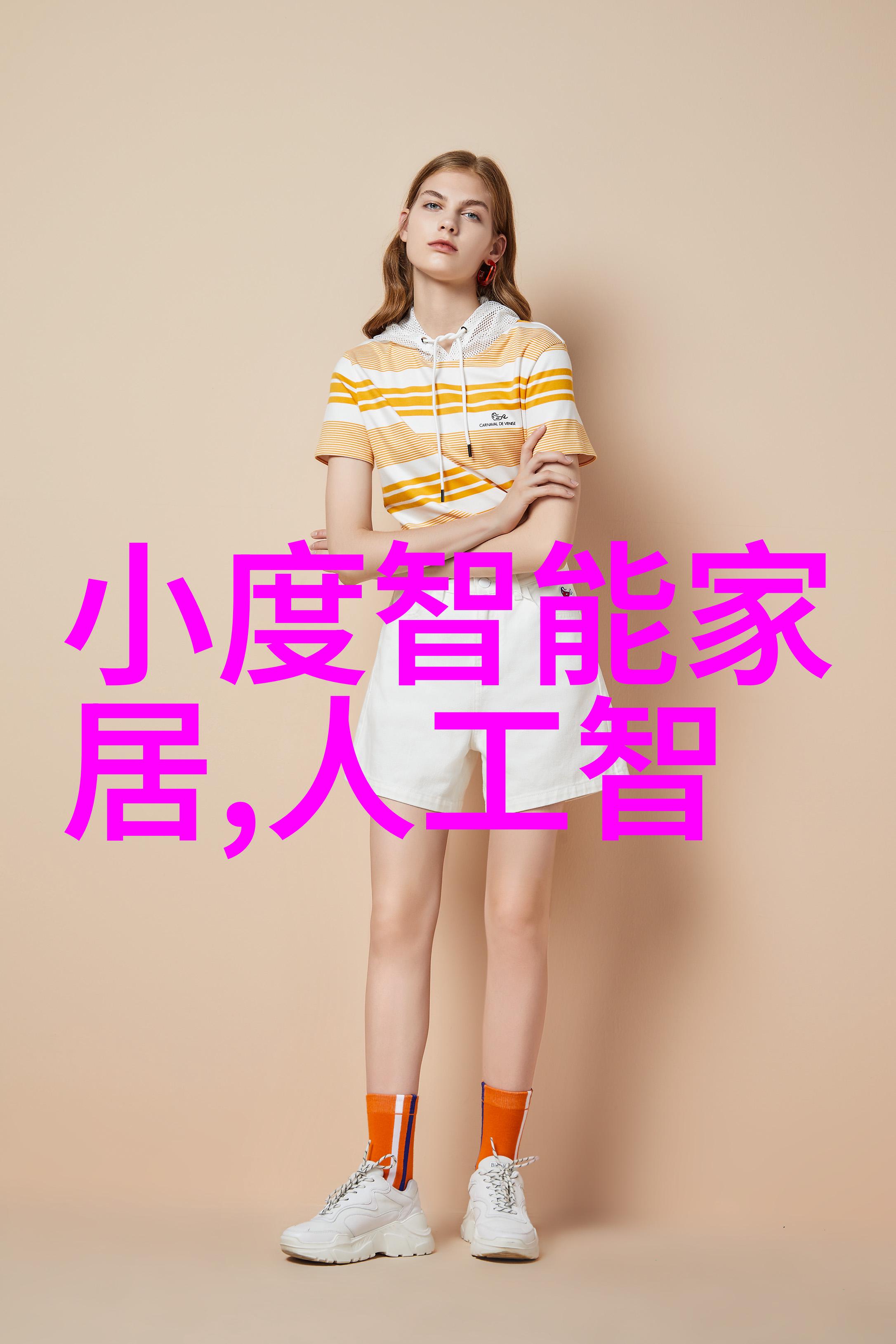 双锥回转真空干燥机的工作原理与应用