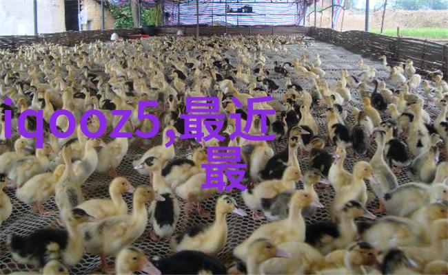 我和我的饭店用油水分离器