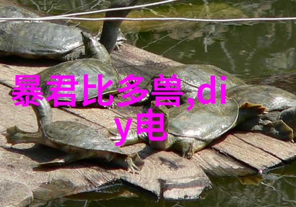 学习如何操作一台专业级别的水份测定仪器