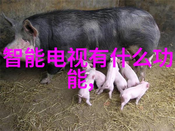 汽车配件大全及名称车灯轮胎刹车片油泵空气滤清器
