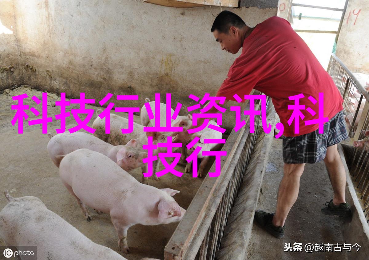 无锡不锈钢丝网填料之谜究竟是什么力量让它在工业应用中闪耀着坚不可摧的光芒