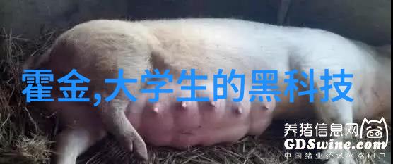 反渗透净水设备我是怎么在家里解决了硬水的问题