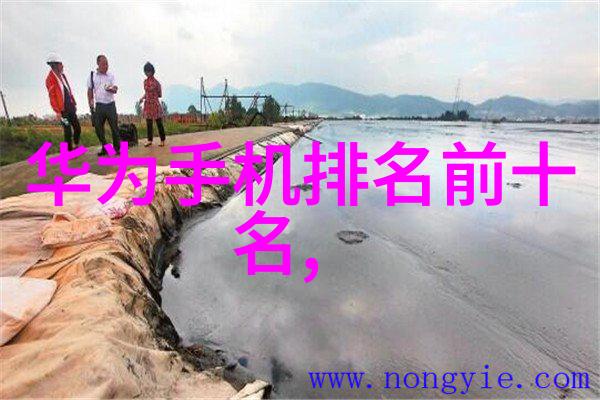 探索奢华语境下的读音秘密从笔尖到心灵的旅程