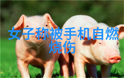 丰田配件查询系统精确寻找您需要的每一颗螺丝