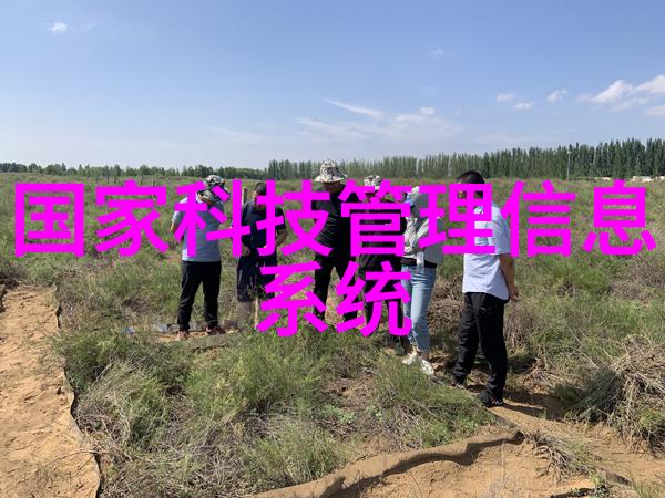 回收工厂各种旧设备-废弃变宝如何高效利用旧设备的新价值