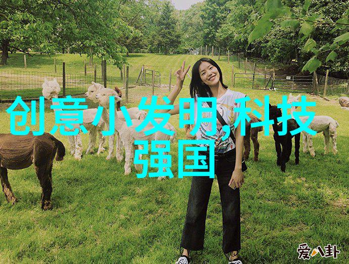 机械设备中不可或缺的传动成员带式传递技术的运用与发展