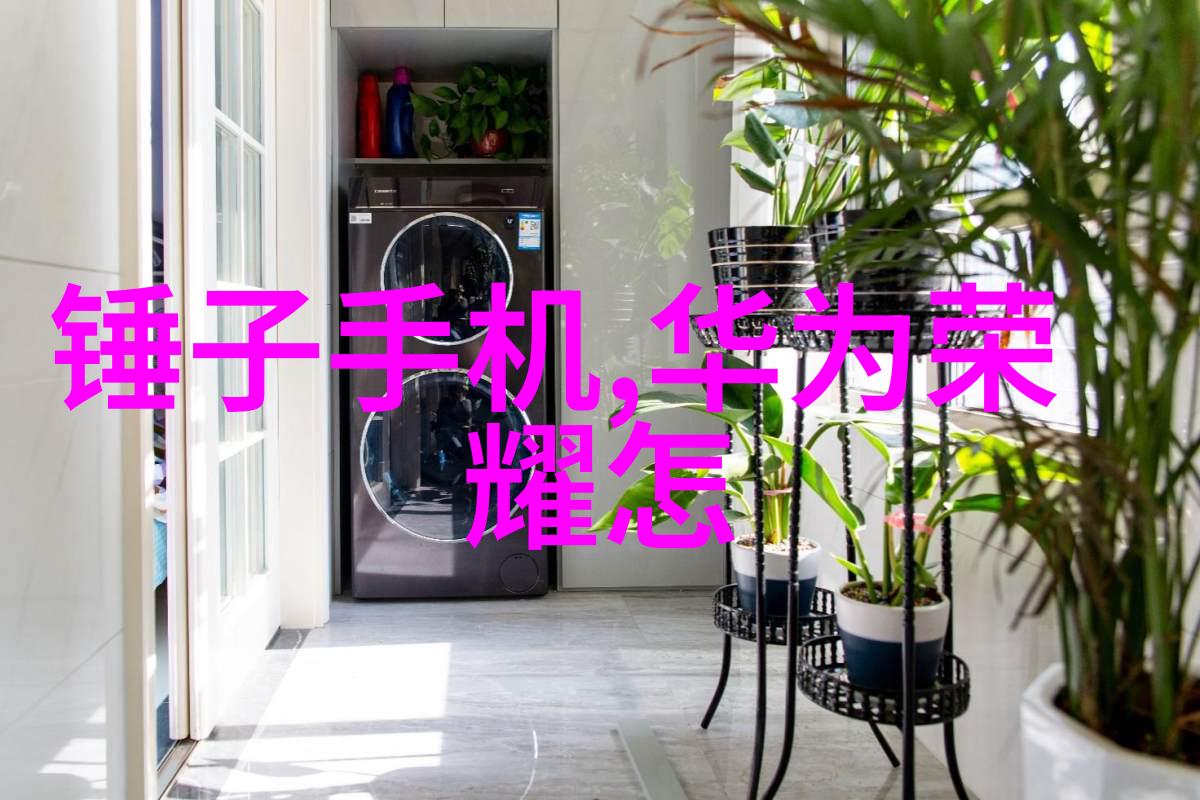 孪生兄弟3PH-双胞胎的秘密揭开孪生兄弟3PH的神秘面纱