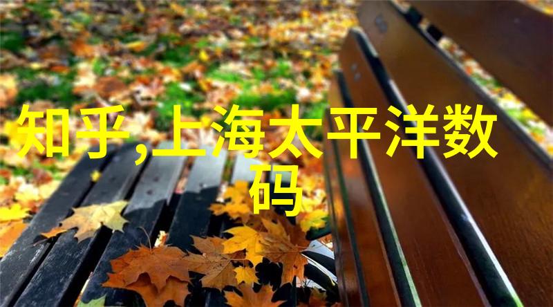 尘土之舞雾霭中寻觅