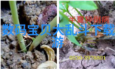 茶馆装修设计我是如何在小 Budget下打造一个温馨如家的小茶馆的