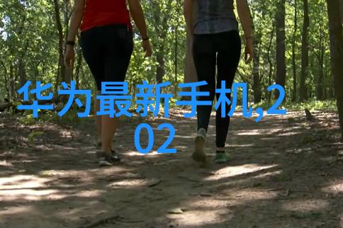 旋风之心离心压缩机的奇迹运行