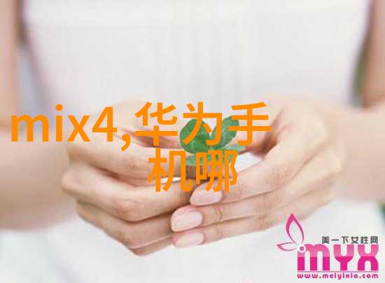 中式美学的魅力与挑战