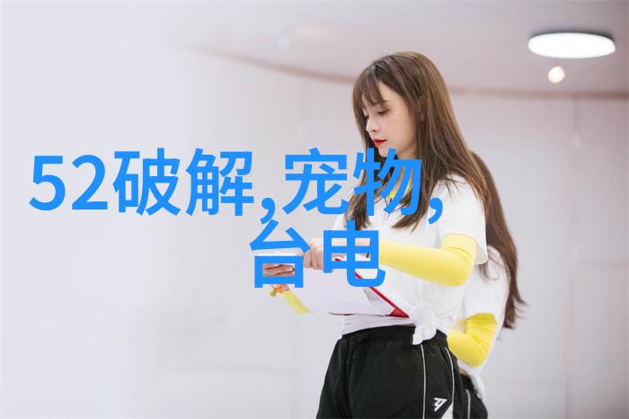 水力发电技术之先进变流器与励磁系统