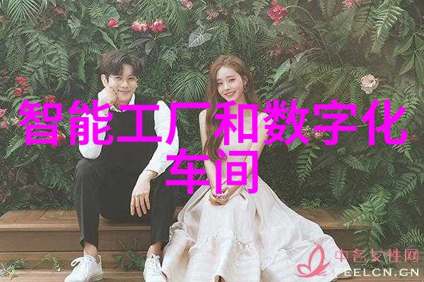 燃气蒸汽发生器的工作原理与应用前景