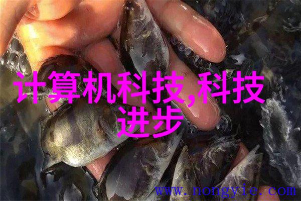 高效无缝不锈钢输送机的工业革新之选