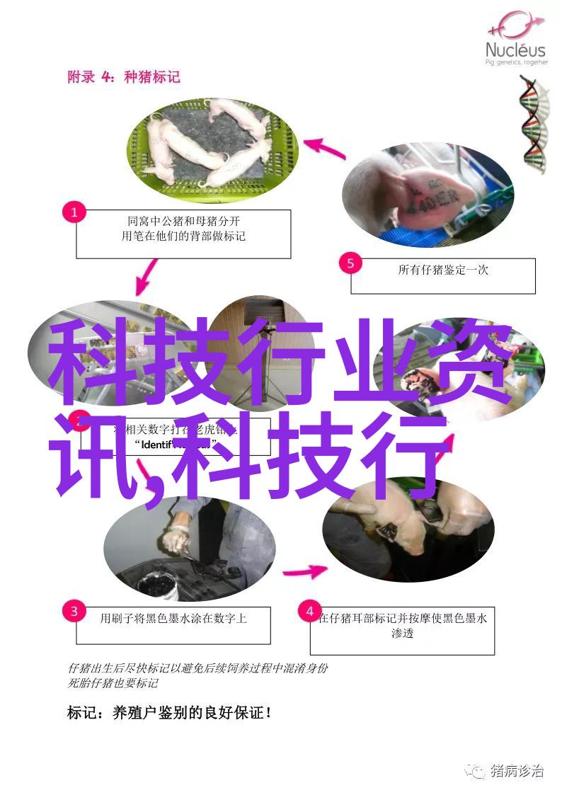 小型除尘除烟设备我的家中清新之道