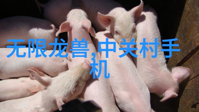 美丽的姑娘高清视频免费中国观看中国美女高清视频免费观看