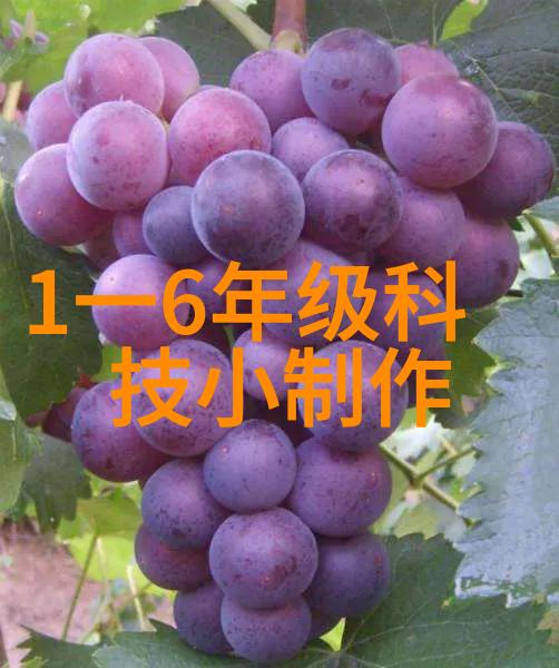厦门哪些实验室设备适合初创企业使用