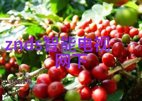 反应釜设计图精准制造化学实验的关键图谱