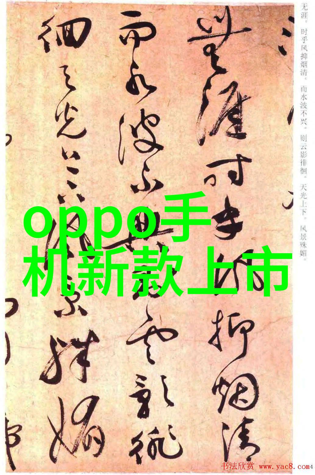 化工原料灌装机-精准配送高效可靠的工业物流解决方案