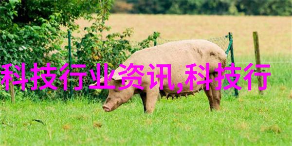 娇妻在我面前被多次温柔宠爱的场景甜蜜家庭生活中的浪漫瞬间