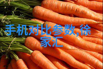 实验室选矿设备-探讨实验室选矿设备的应用与未来发展