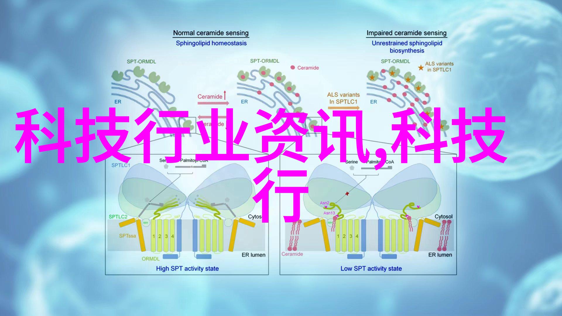 化学工艺的钢铁心脏化工设备分类探究