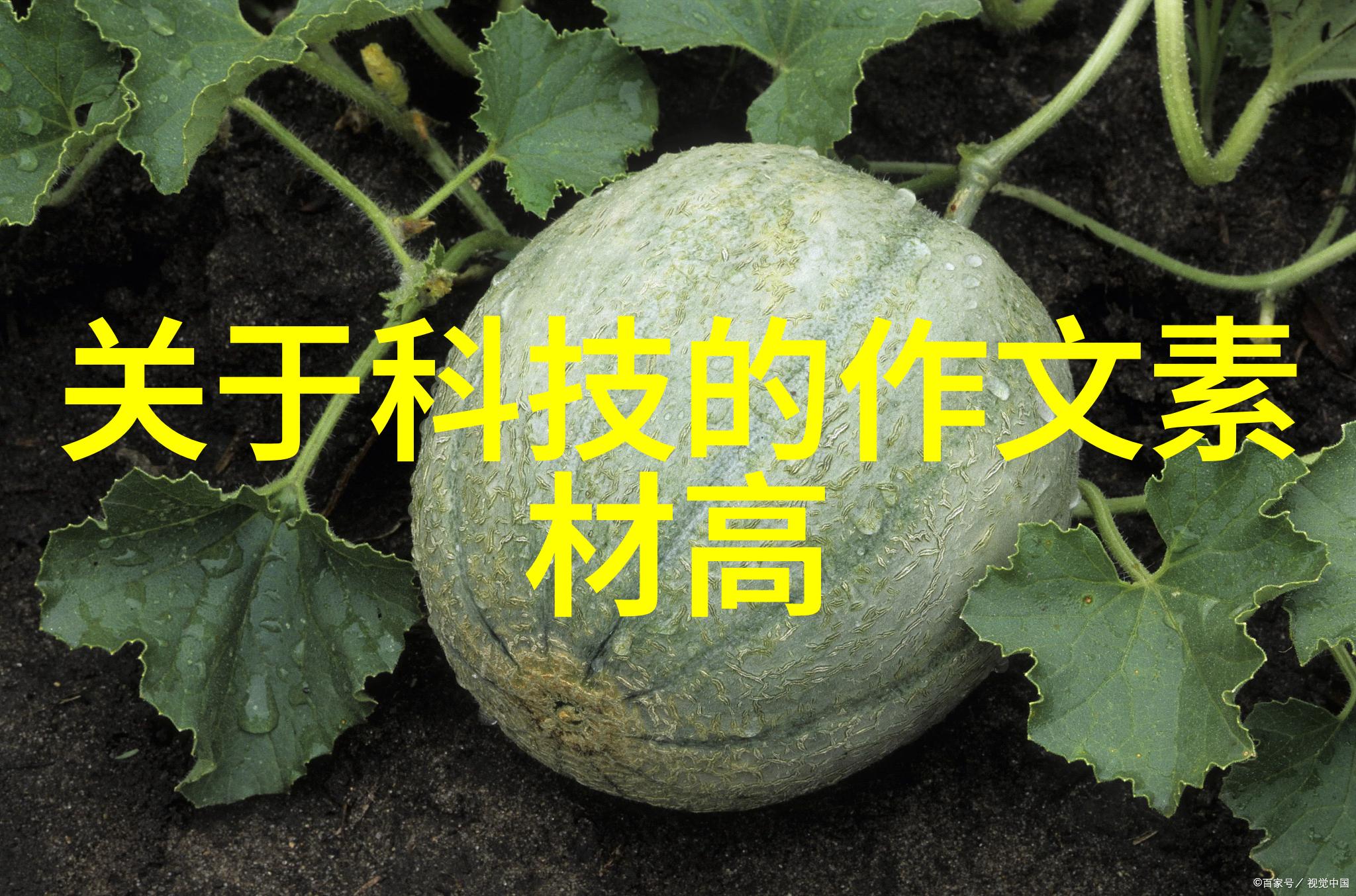 如何选择适合自己用途的丙烯酸涂料品种