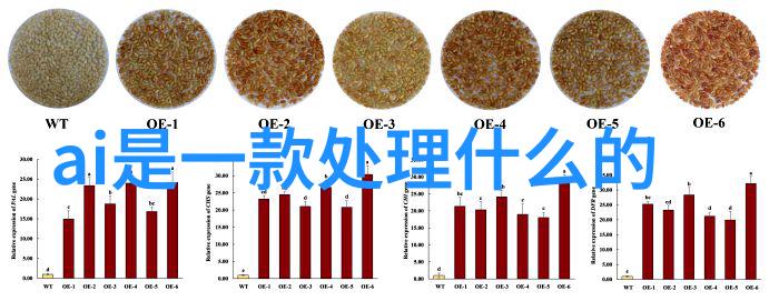 风化抗性测试方法在重力式挡土墙设计中的重要性解析