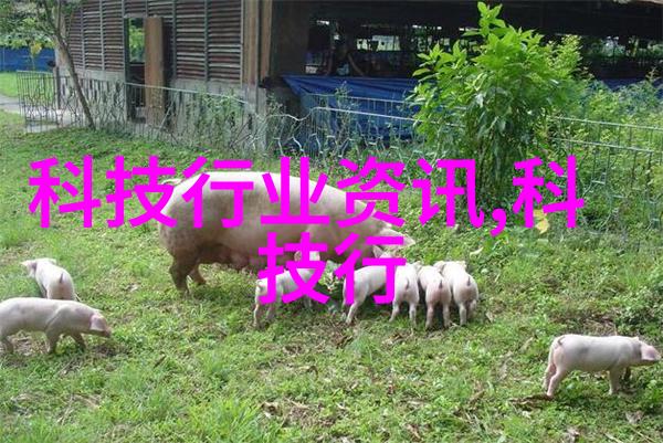夏季必备了解和安装家庭恒温恒湿系统