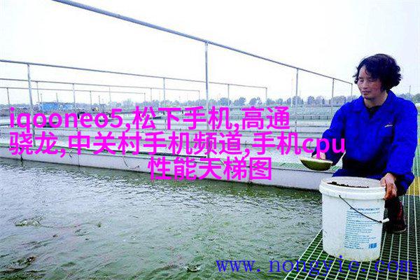 “鲁豫恋”河南癌症女孩与山东小伙拍婚纱照