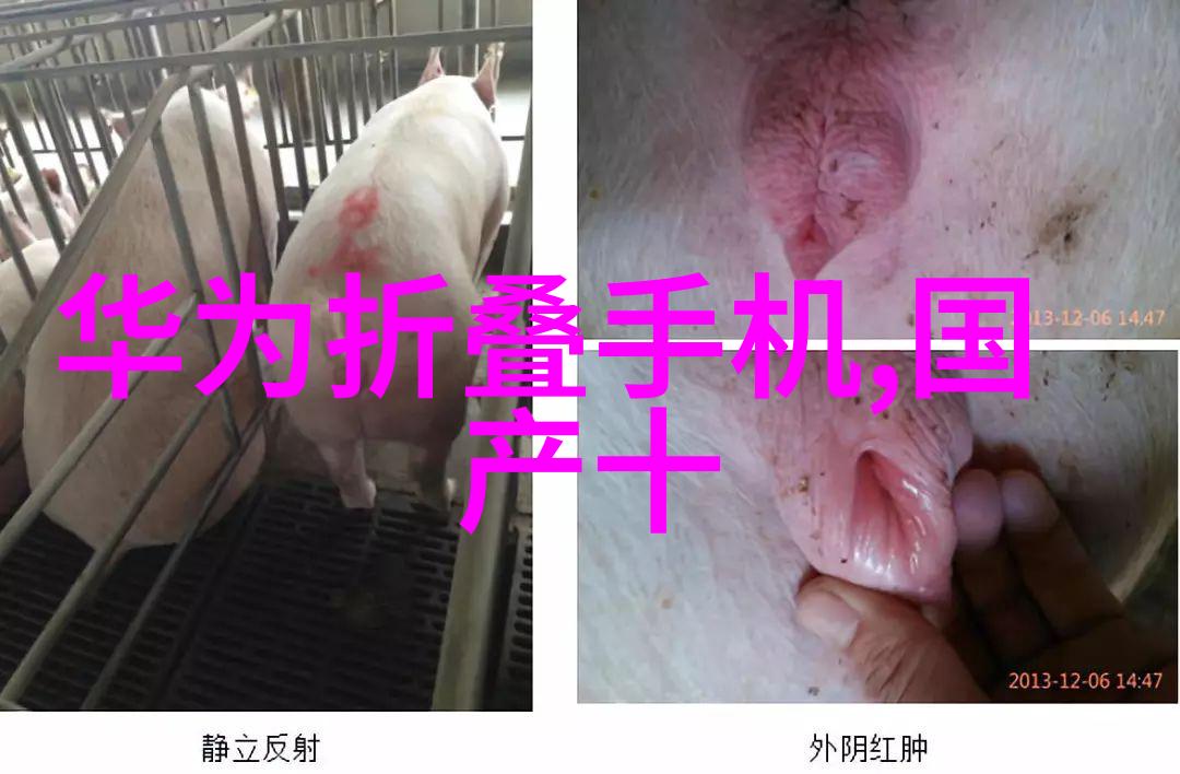 中国中车的重量级地位权威股市标杆的崛起与影响