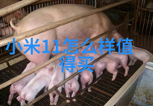 水过滤设备清洁生活的不懈追求