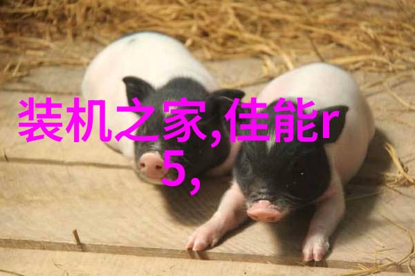 学校大型净水设备的运作原理与维护重要性