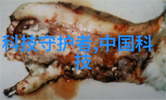 在不同气候条件下通体砖的性能表现如何变化呢