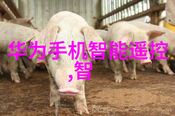 不锈钢输送机-高效流线不锈钢输送机在现代制造业中的应用与创新