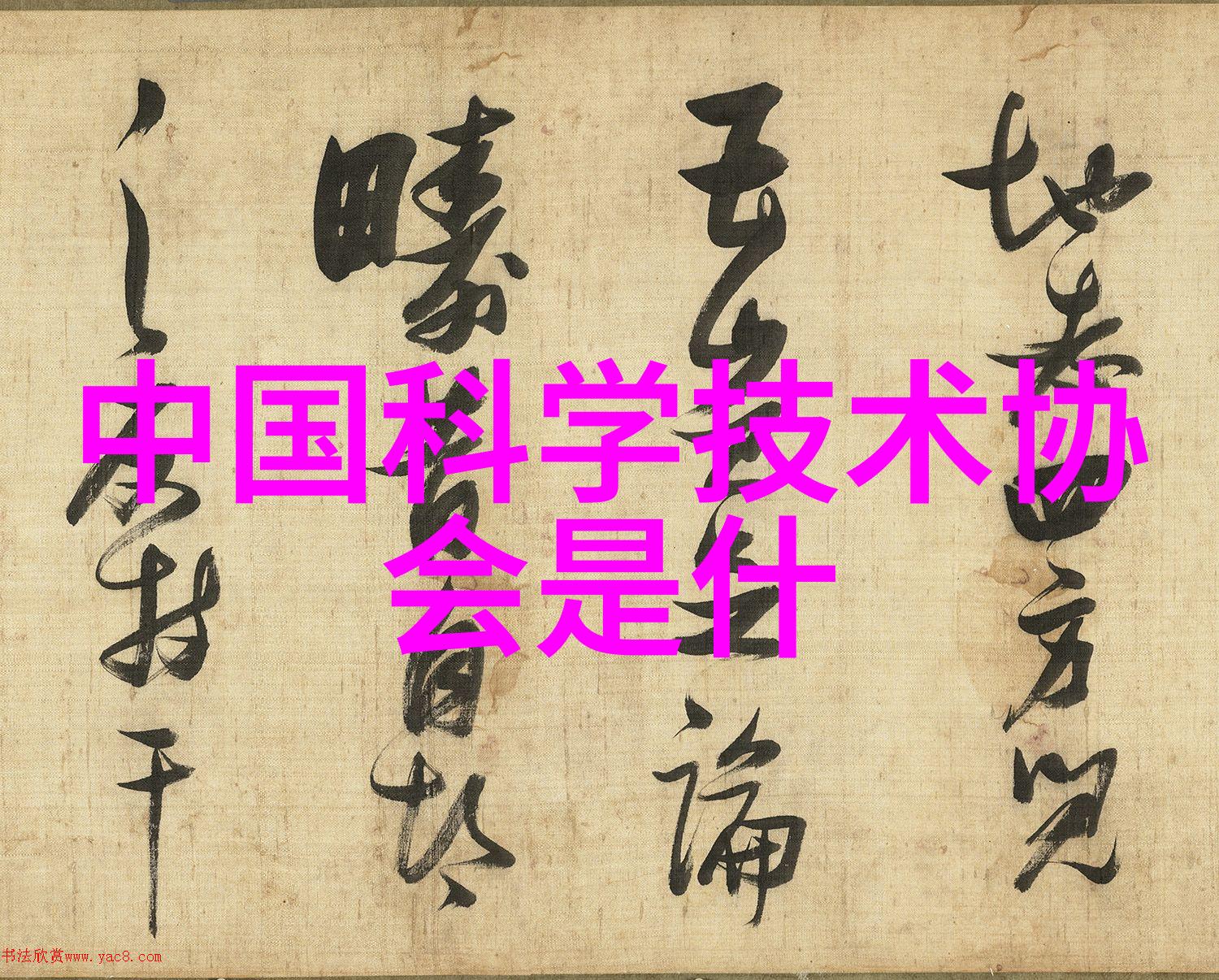 石油化工能源转型的关键领域与挑战
