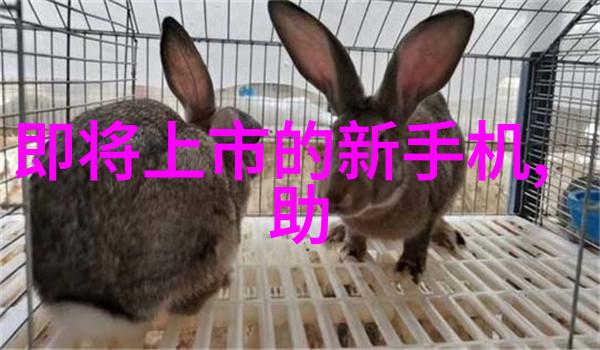 不锈钢波纹管制造工艺-精密铸造与冷拔技术的完美融合