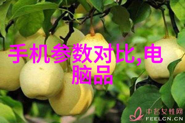 送妈妈应该送什么花-选择适合的花卉温暖母亲的心
