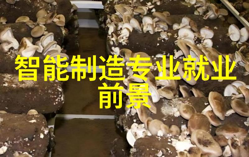 化学合成的秘方探索化工配方技术的艺术与科学