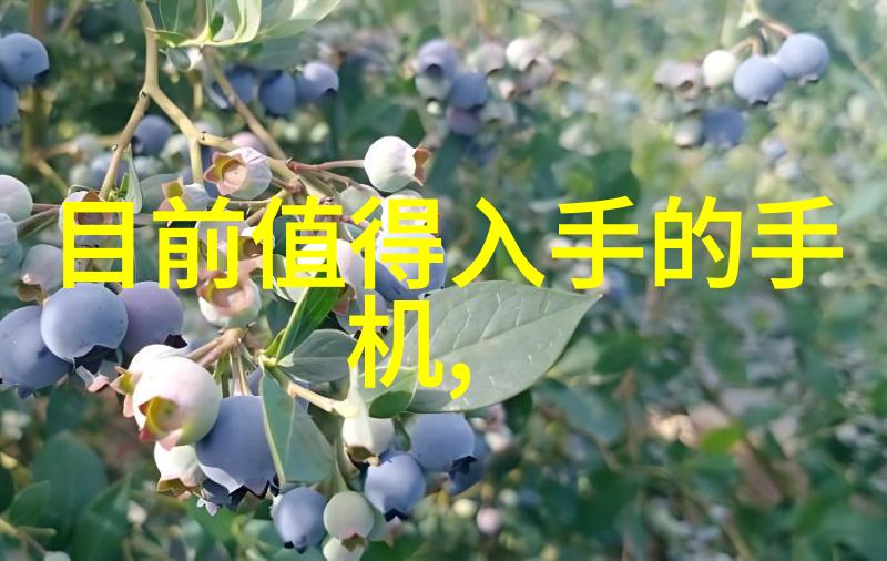 穿越时空的袖珍宇宙解读可穿戴智能设备的无形力量