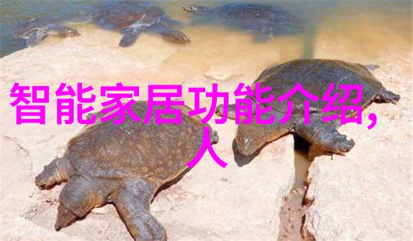 一起去色咱们这次搞个颜值大爆发