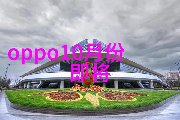 未来几年内我们可以期待在新浪财meric上看到什么新的功能或改进
