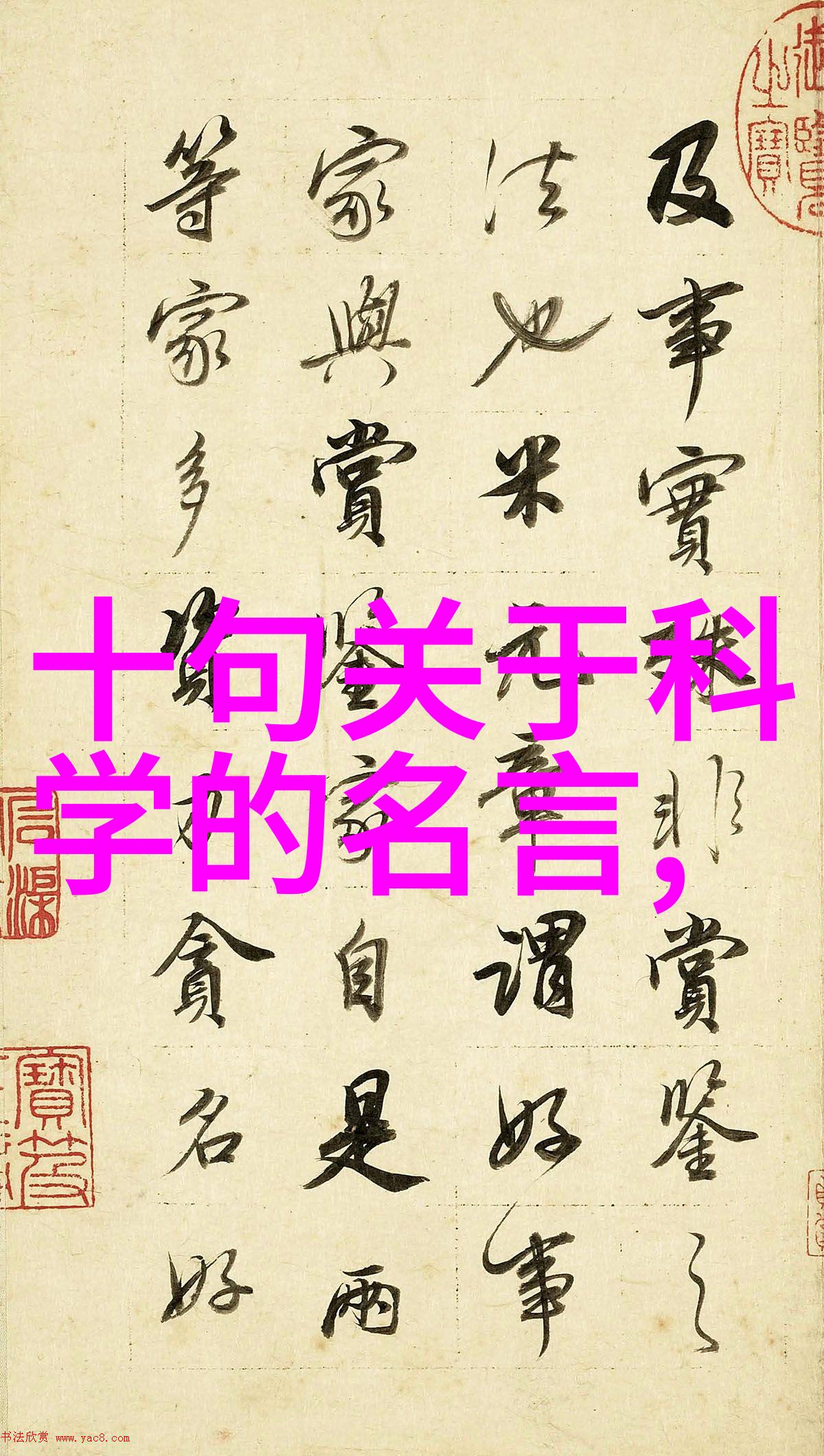 丝网填料750塔板织梦高楼的精细技艺